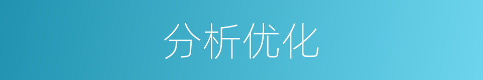 分析优化的同义词