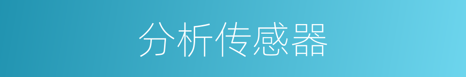 分析传感器的同义词