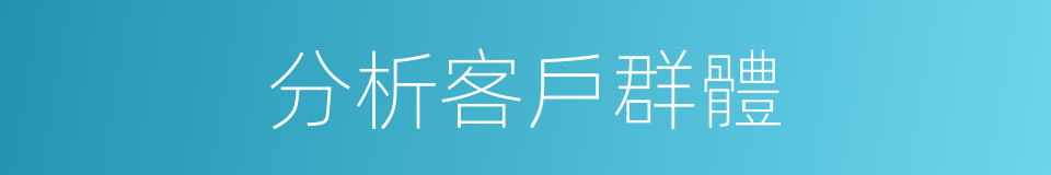 分析客戶群體的同義詞