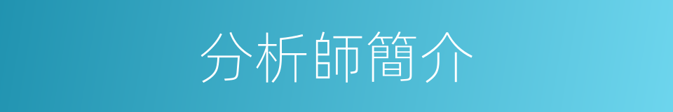 分析師簡介的同義詞