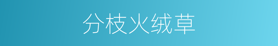 分枝火绒草的同义词