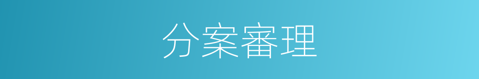 分案審理的同義詞