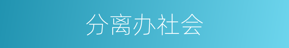 分离办社会的同义词