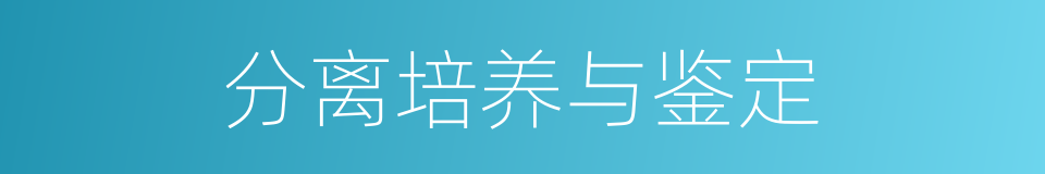 分离培养与鉴定的同义词