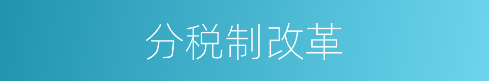 分税制改革的同义词