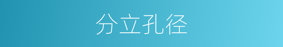 分立孔径的同义词