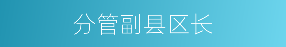 分管副县区长的同义词