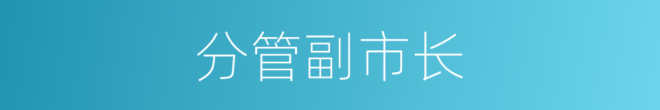 分管副市长的同义词