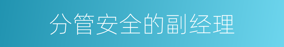 分管安全的副经理的同义词