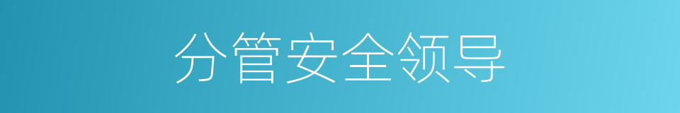 分管安全领导的同义词