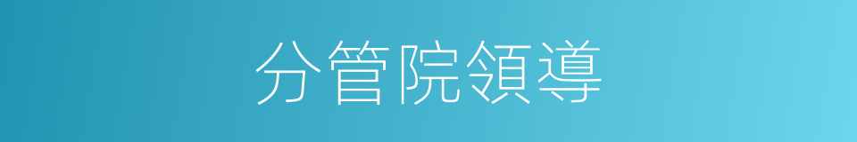 分管院領導的同義詞