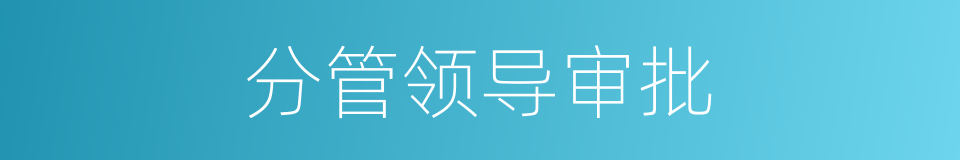 分管领导审批的同义词