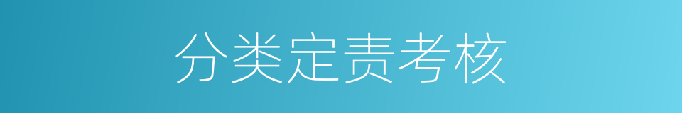分类定责考核的同义词