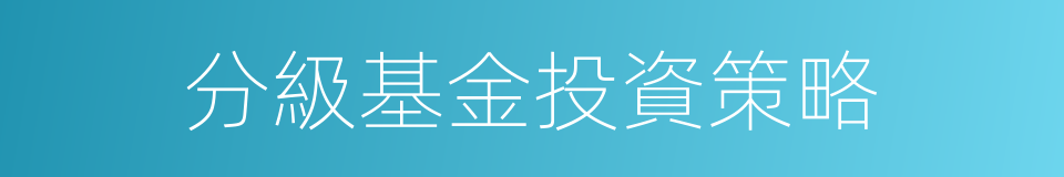分級基金投資策略的同義詞