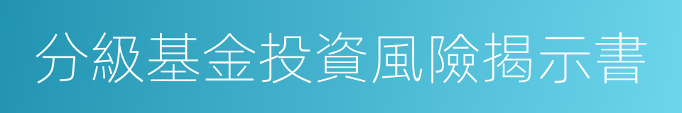 分級基金投資風險揭示書的同義詞