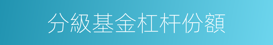 分級基金杠杆份額的同義詞