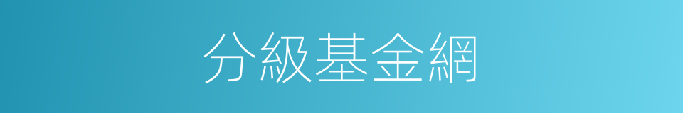 分級基金網的同義詞