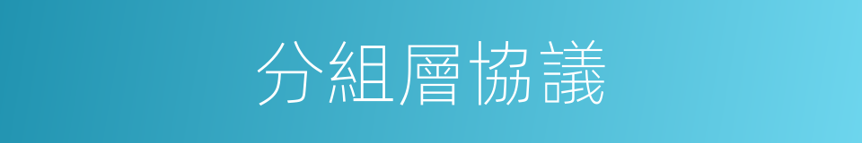 分組層協議的同義詞