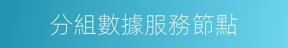 分組數據服務節點的同義詞