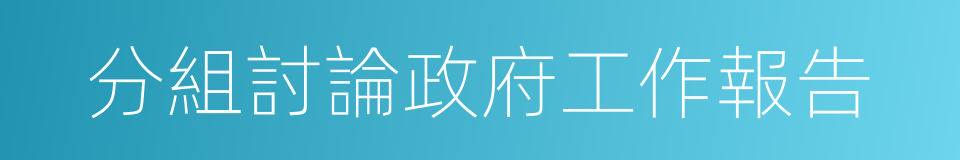 分組討論政府工作報告的同義詞