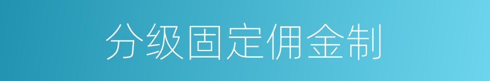 分级固定佣金制的同义词