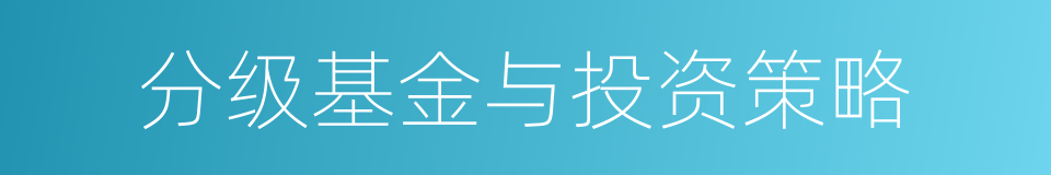 分级基金与投资策略的同义词