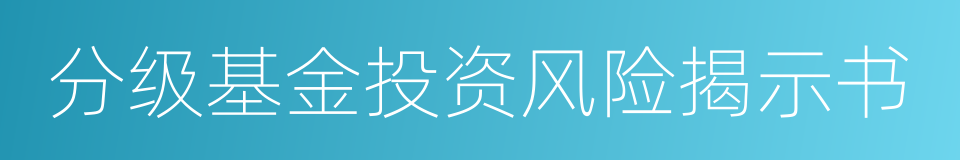 分级基金投资风险揭示书的同义词