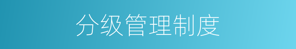 分级管理制度的同义词