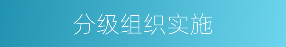 分级组织实施的同义词