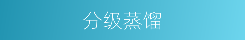 分级蒸馏的同义词
