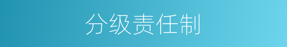 分级责任制的同义词