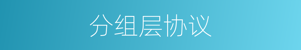 分组层协议的同义词