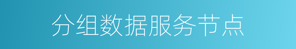 分组数据服务节点的同义词