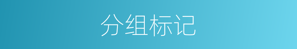 分组标记的同义词