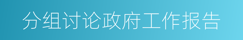 分组讨论政府工作报告的同义词