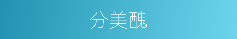 分美醜的同義詞