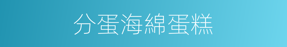 分蛋海綿蛋糕的同義詞