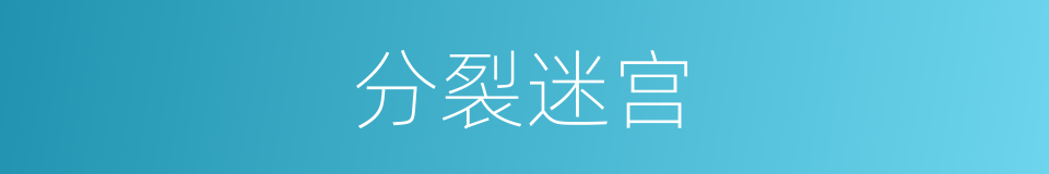 分裂迷宫的同义词