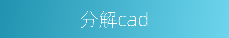 分解cad的同义词