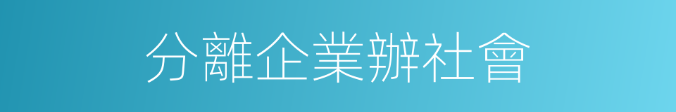 分離企業辦社會的同義詞