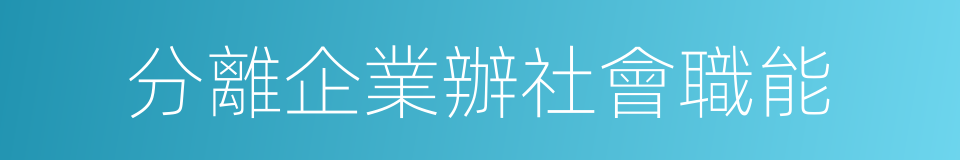 分離企業辦社會職能的同義詞