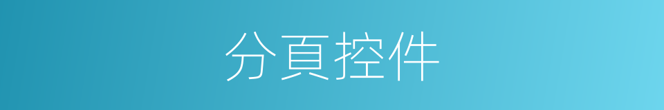 分頁控件的同義詞