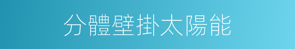 分體壁掛太陽能的同義詞
