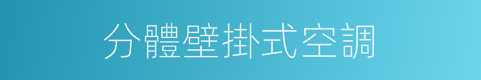 分體壁掛式空調的同義詞