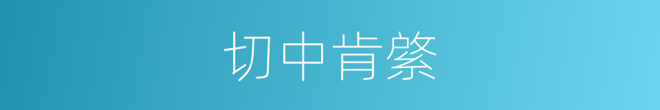 切中肯綮的意思