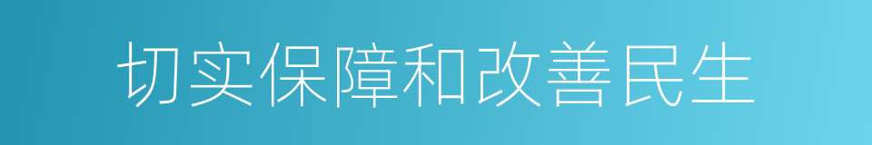 切实保障和改善民生的同义词