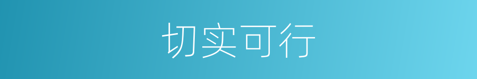 切实可行的同义词