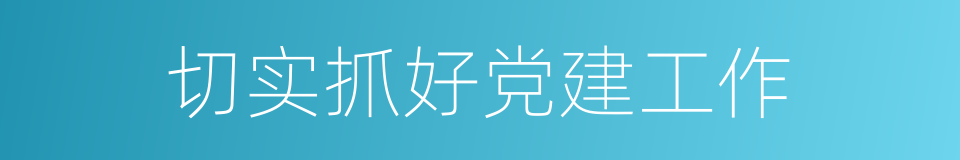 切实抓好党建工作的同义词