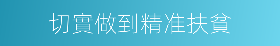 切實做到精准扶貧的同義詞