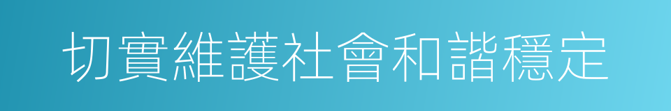 切實維護社會和諧穩定的同義詞